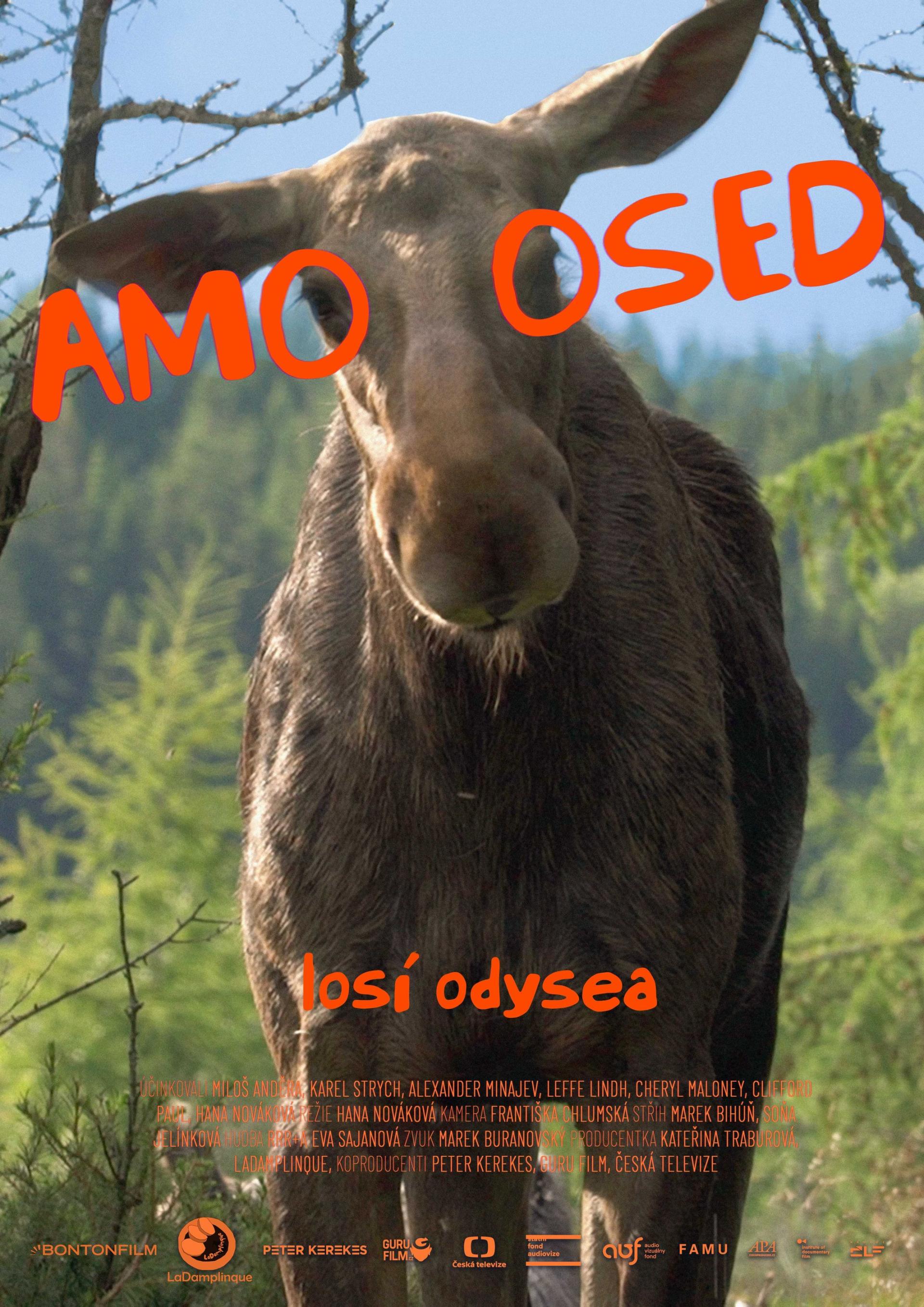 Kino: AMOOSED - LOSÍ ODYSEA
